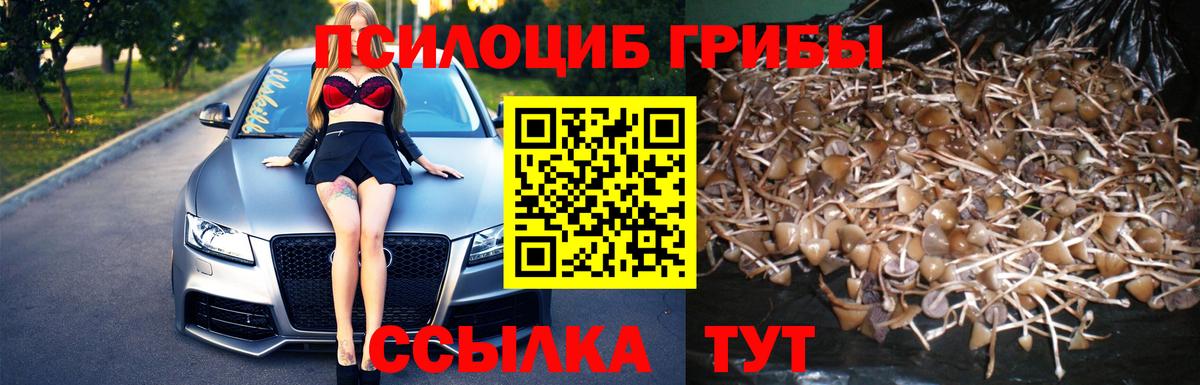 Псилоцибиновые грибы Cubensis  Псилоцибиновые грибы ЛСД  Усть-Лабинск  Вход с VPN 