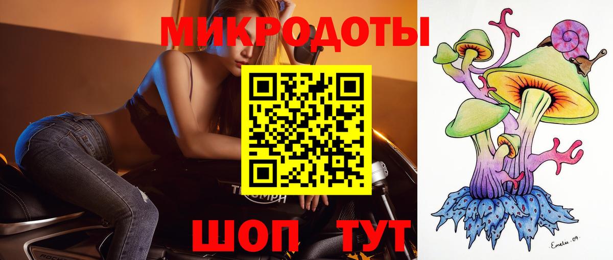 Псилоцибиновые грибы Psilocybine cubensis Усть-Лабинск